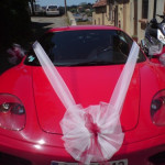 achat fleurs aubagne