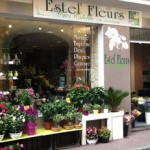 Achat fleurs Carcassonne