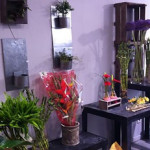 Achat fleurs Carcassonne