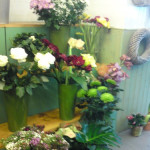 achat fleurs saint bres