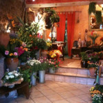 acheter fleurs perols