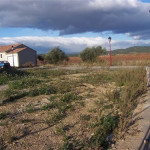 agent immobilier capestang