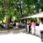 Visite et ballade en Camargue Manade des Chanoines