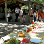 Visite et ballade en Camargue Manade des Chanoines