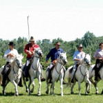 Visite et ballade en Camargue Manade des Chanoines
