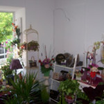 Fleuriste et bijoux fantaisie à Maureilhan