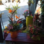 Fleuriste Vias