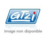 Casque aux normes Snell 2010