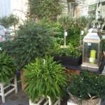 Interflora Saint-Martin-de-Crau