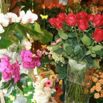 Composition florale � Auray