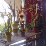 D�coration Florale