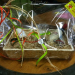 Offrez un panier gourmand dans cette �picerie fine
