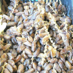 Epicerie primeur Montpellier