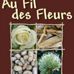 Fleuriste livraison fleurs Frontignan la Peyrade