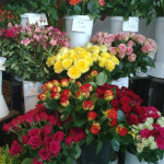 Fleuriste La Ciotat Fleur d'Etoile