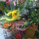 Fleuriste La Ciotat Fleur d'Etoile