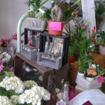 Fleuriste La Ciotat Fleur d'Etoile