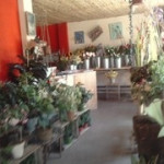 En magasin un large choix de fleurs