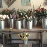 Fleurs coup�es