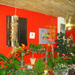 Plantes vertes & tableaux v�g�taux
