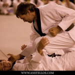 Taekwondo � Japanimes 2010