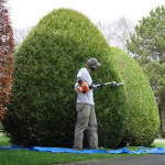 Jardinier domicile Nantes