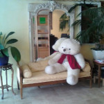 Literie et mobilier � Narbonne