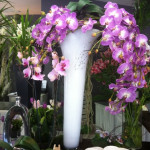 Livraison de fleurs � Bagnols-sur-C�ze