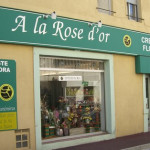 Fleuriste et livraison de fleurs � Narbonne