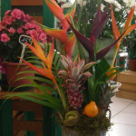Fleuriste et livraison de fleurs � Narbonne