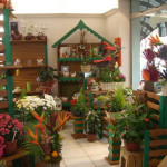 Fleuriste et livraison de fleurs � Narbonne
