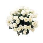 Livraison fleurs Tunisie