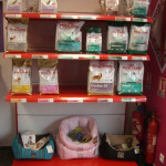 Salon de toilettage pour chiens à Montpellier