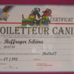 Salon de toilettage pour chiens à Montpellier