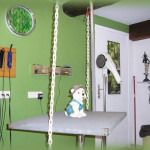 Salon toilettage Quissac Saint Hippolyte du Fort