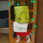 toilettage chien toilettage chat mauguio