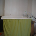toilettage chien toilettage chat mauguio