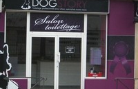 Salon de toilettage � Montpellier Dog Story