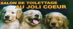 Toilettage Canin et F�lin � Auriol Au Joli Coeur